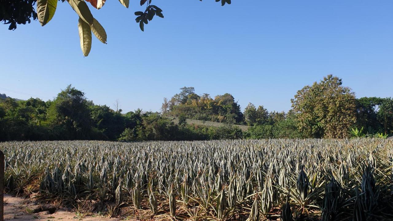 จำค่า ชาเลท์ บ้านพักสวนเกษตร Lampang Exterior foto